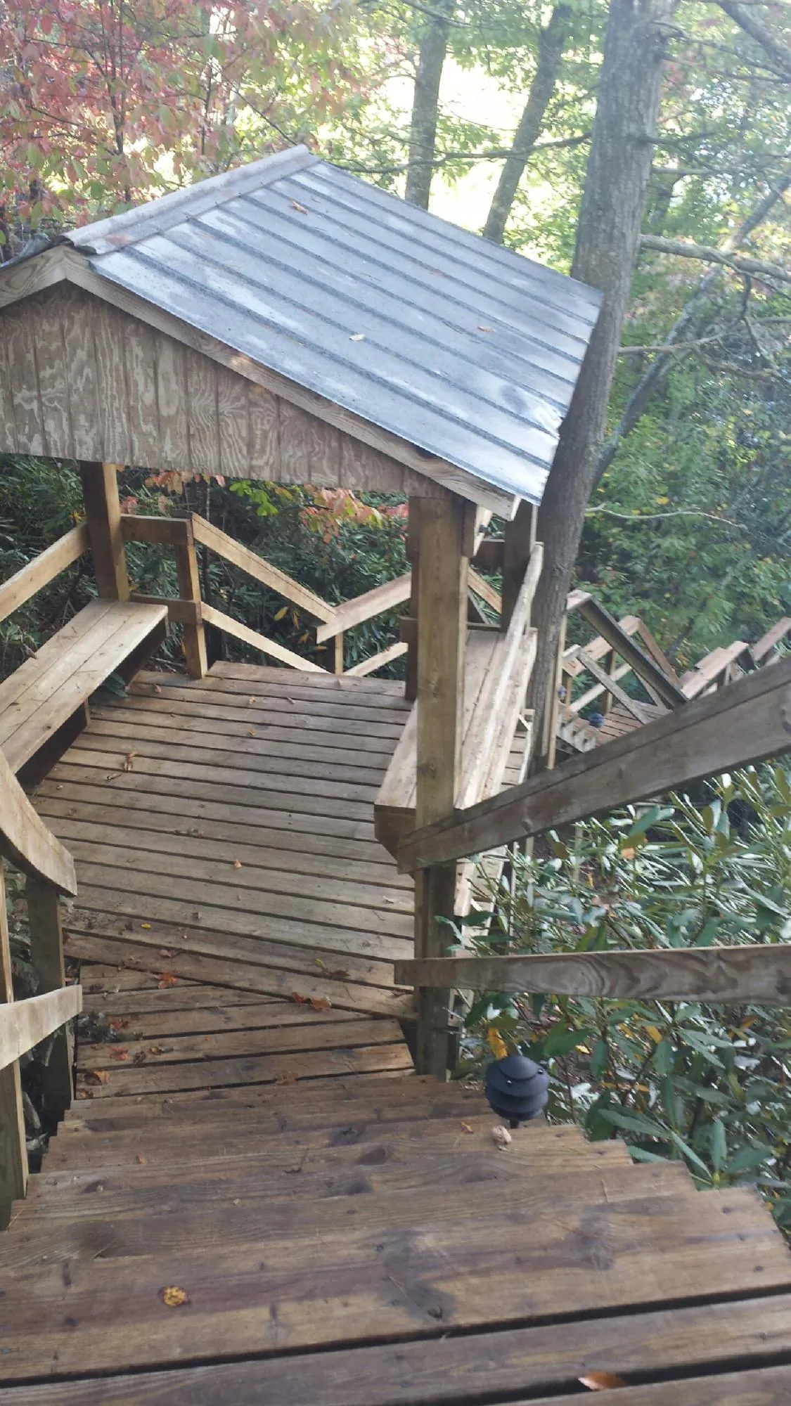 Metal roofed shelter over wooden steps on a wooded walkway — Skylight Repair & Installation work by our crew in Indian Wells